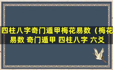 四柱八字奇门遁甲梅花易数（梅花易数 奇门遁甲 四柱八字 六爻纳甲）